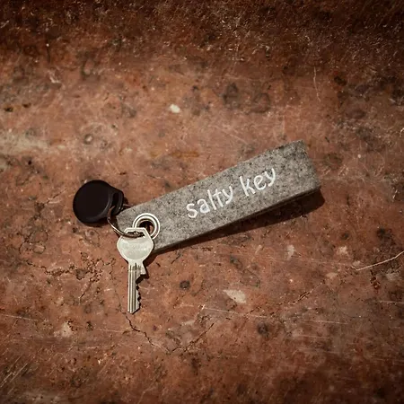 The Salt Vis à Vis Hallein