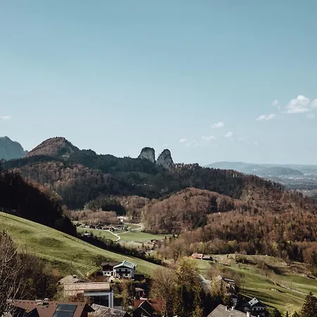 The Salt Vis A Vis *