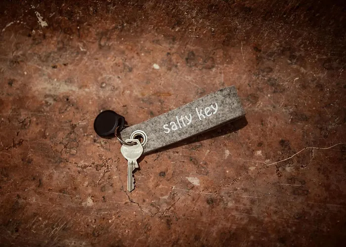 The Salt Vis A Vis Халляйн