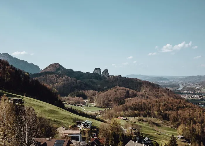 The Salt Vis A Vis *