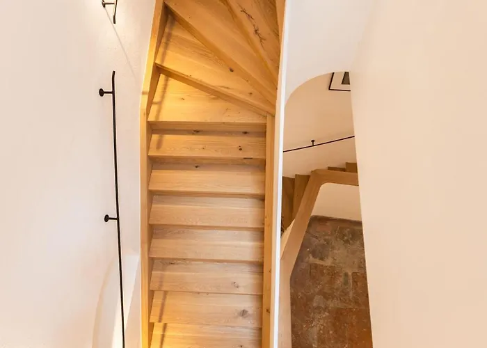 The Salt Vis A Vis *